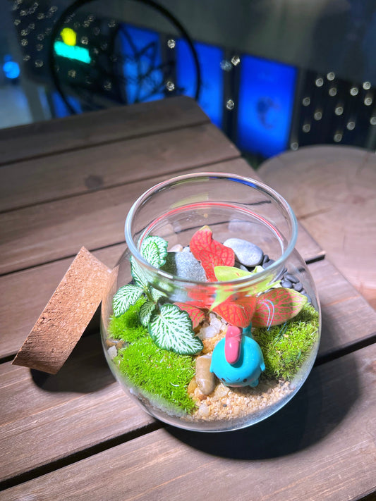 Fittonia with Moss Arrangement in Round Covered Glass (S) Terrarium