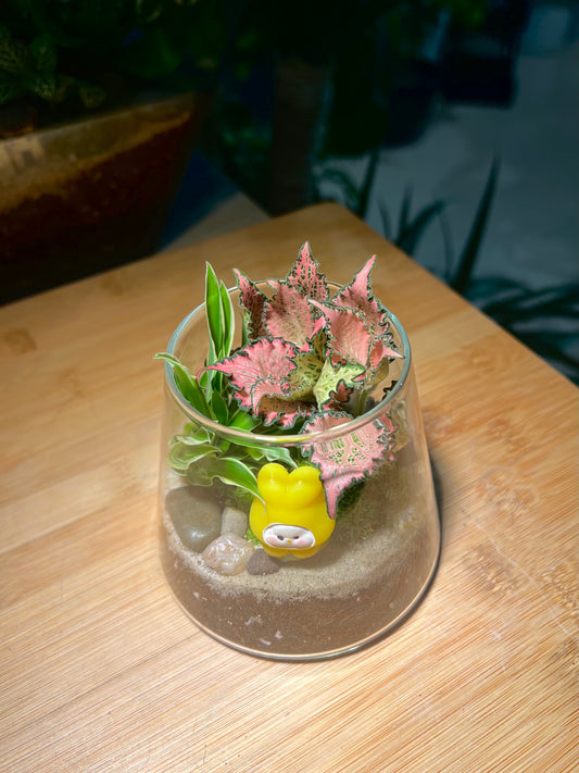 Fittonia and Chlorophytum with Moss Arrangement in Fuji Glass