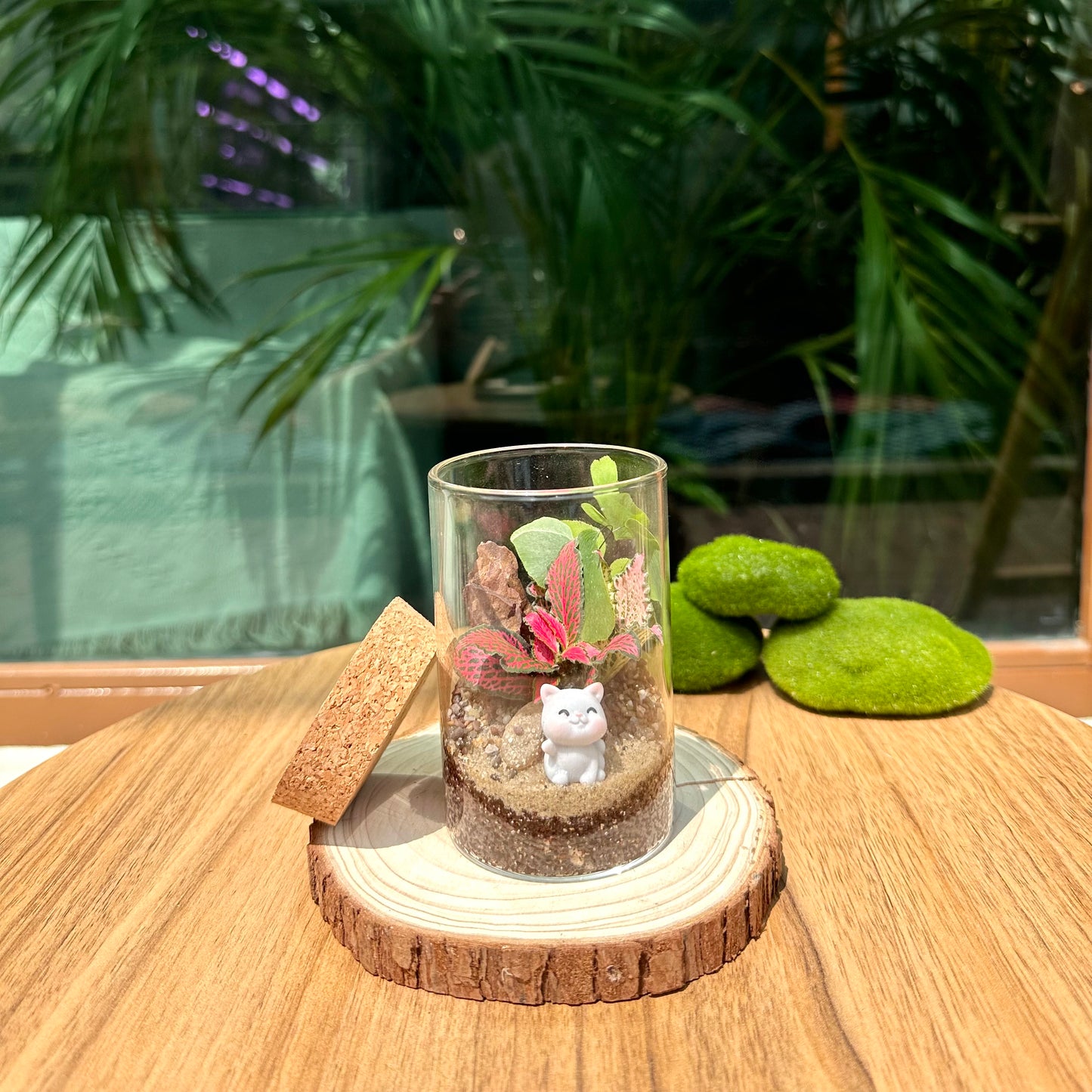 Mix Indoor Plants in Cylinder Terrarium with Cork