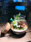 Fittonia and Fern with Moss Arrangement in Round Covered Glass Terrarium