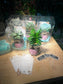 Teacher’s Day Gift - Succulent in Pudding Jar with Blackboard in PVC Box (5pcs/set)