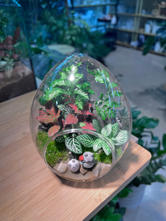 Fittonia and Fern with Moss Arrangement in Eggette Glass (M) - Totoro Figurine