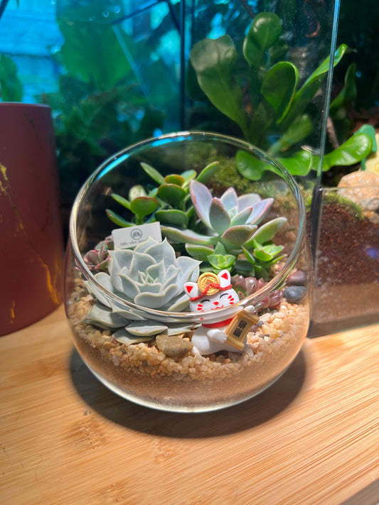 Succulent Terrarium in Slanted Glass with Prosperity Cat (L)