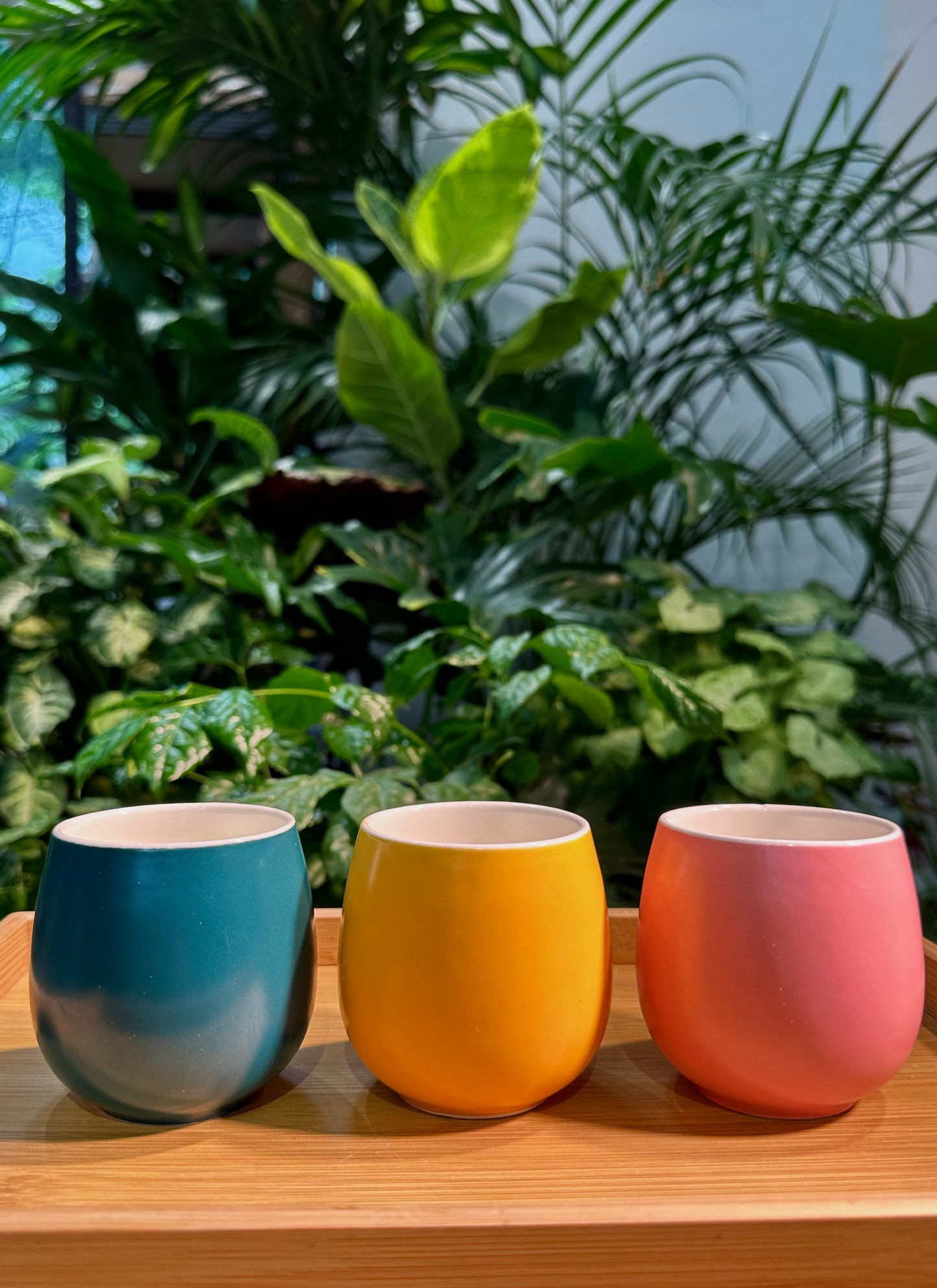 Colorful Designer Pot