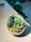 Succulent Terrarium in Crystal Glass