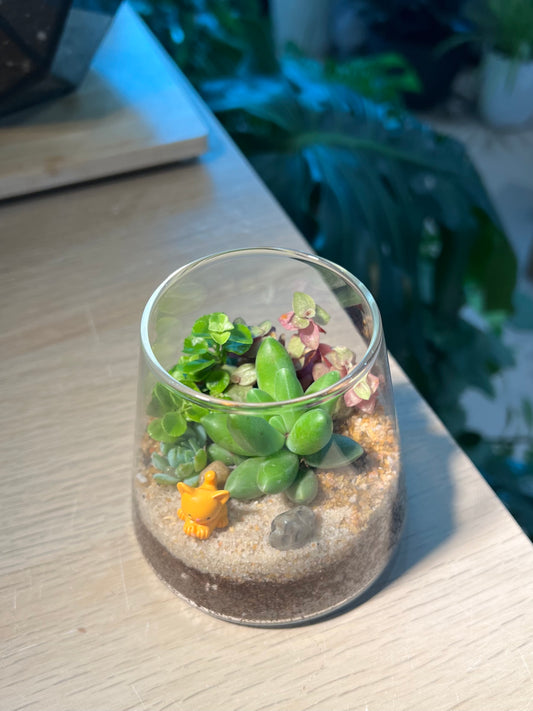 Fuji Glass Succulent Terrarium Workshop