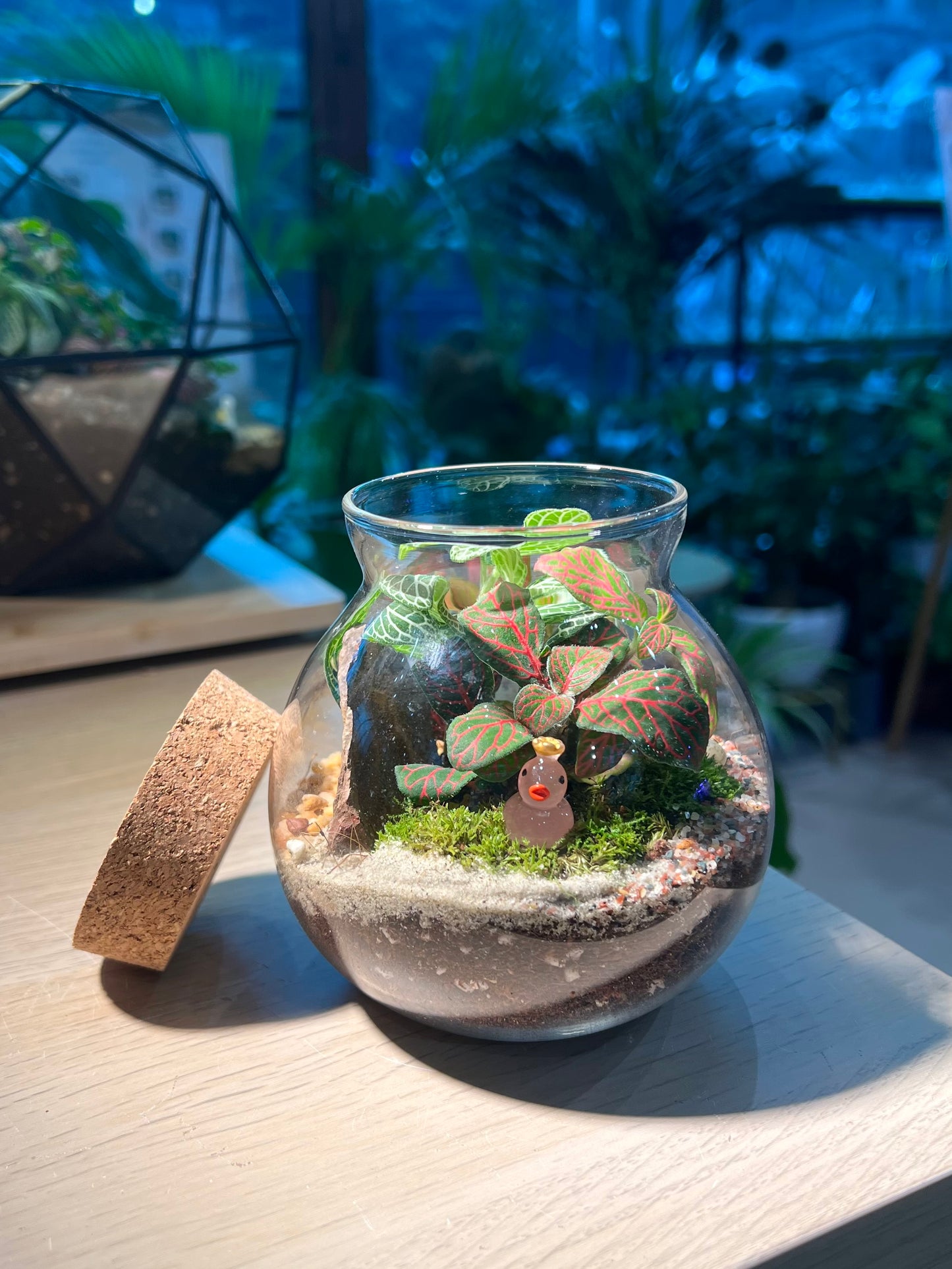 Fittonia with Moss (Indoor Plant) Arrangement in Round Covered Glass (S)