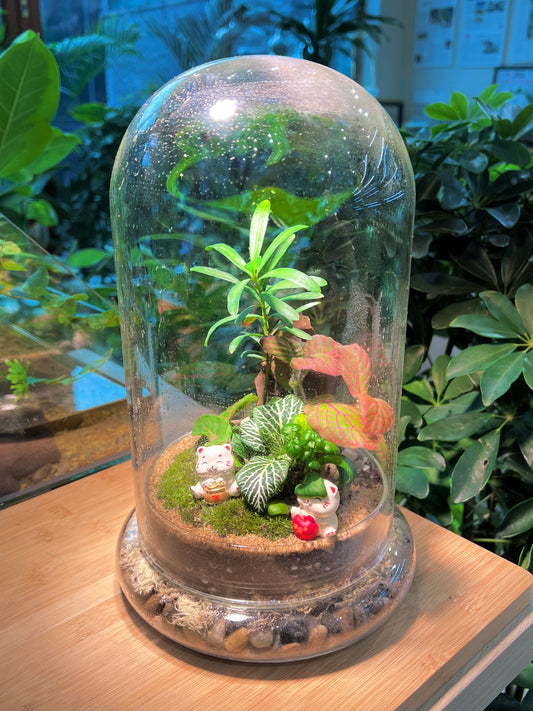 Fittonia and Podocarpus with Moss Arrangement in Bell Glass (L)