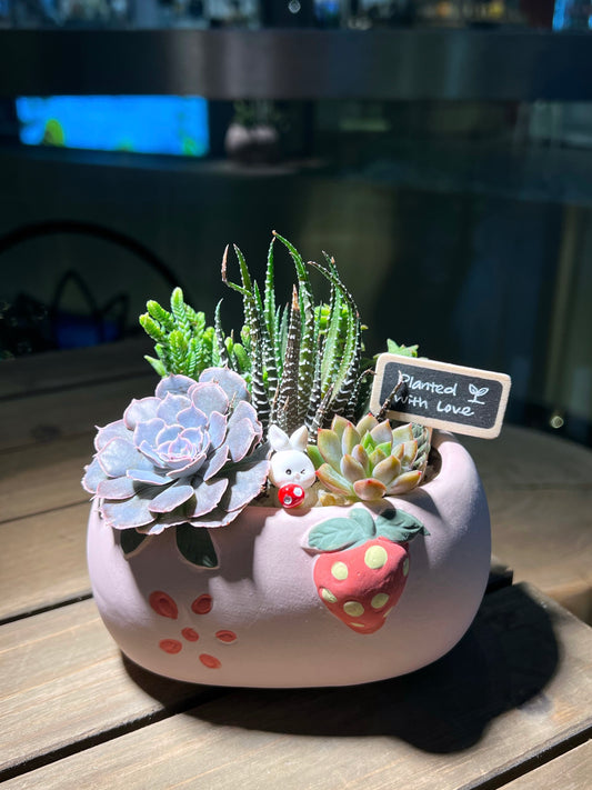 Succulent Arrangement in Strawberry 🍓 Ceramic Pot