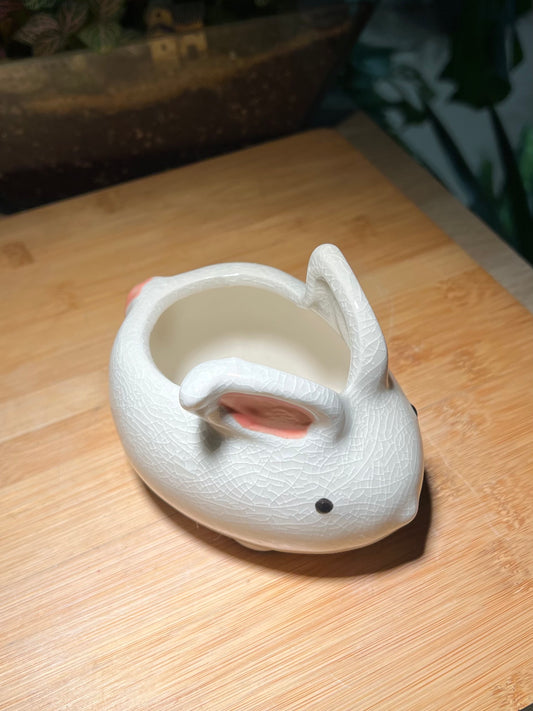 Cutie Rabbit Puzzle Type Ceramic Pot
