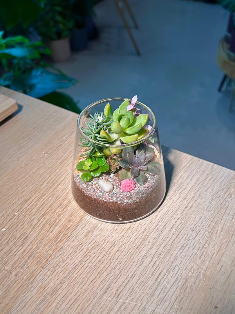 Succulent Terrarium in Fuji Glass