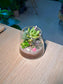 Succulent Terrarium in Fuji Glass