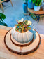 Crassula Ovata Variegata (Succulent) in Sea Urchin Ceramic Pot