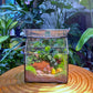 Fittonia and Fern with Moss Arrangement in Black Frame Glasshouse (S)