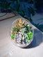Succulent Terrarium in Slanted Glass (L)
