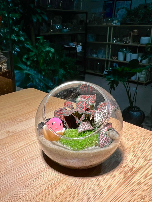 Fittonia with Moss Arrangement in Round Glass Terrarium (S)