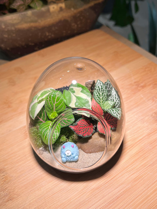 Fittonia and Njoy with Moss Arrangement in Eggette Glass (S)