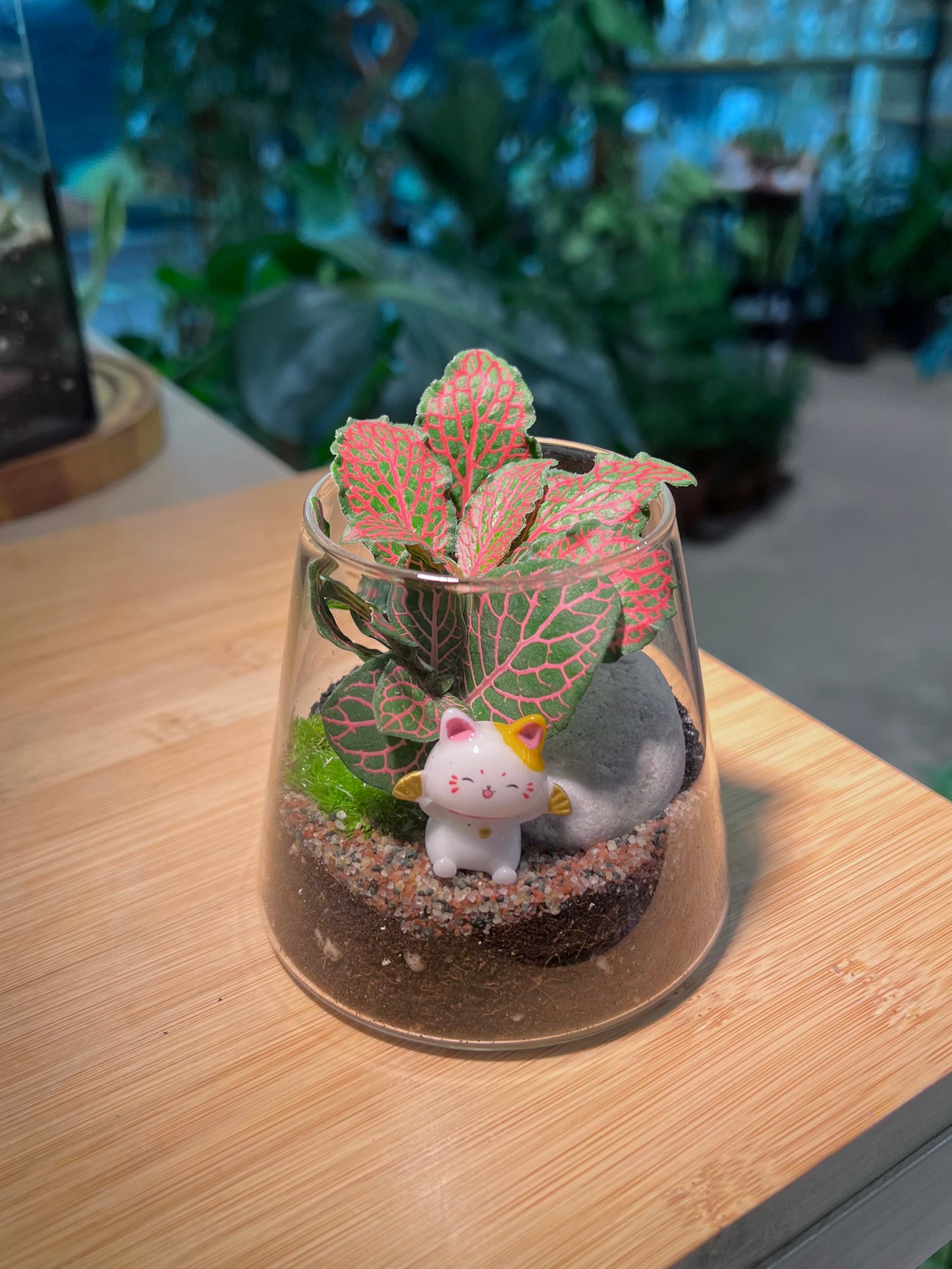 CNY Theme - Fittonia with Moss Arrangement in Fuji Terrarium