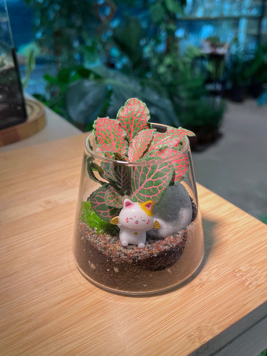 CNY Theme - Fittonia with Moss Arrangement in Fuji Glass Terrarium