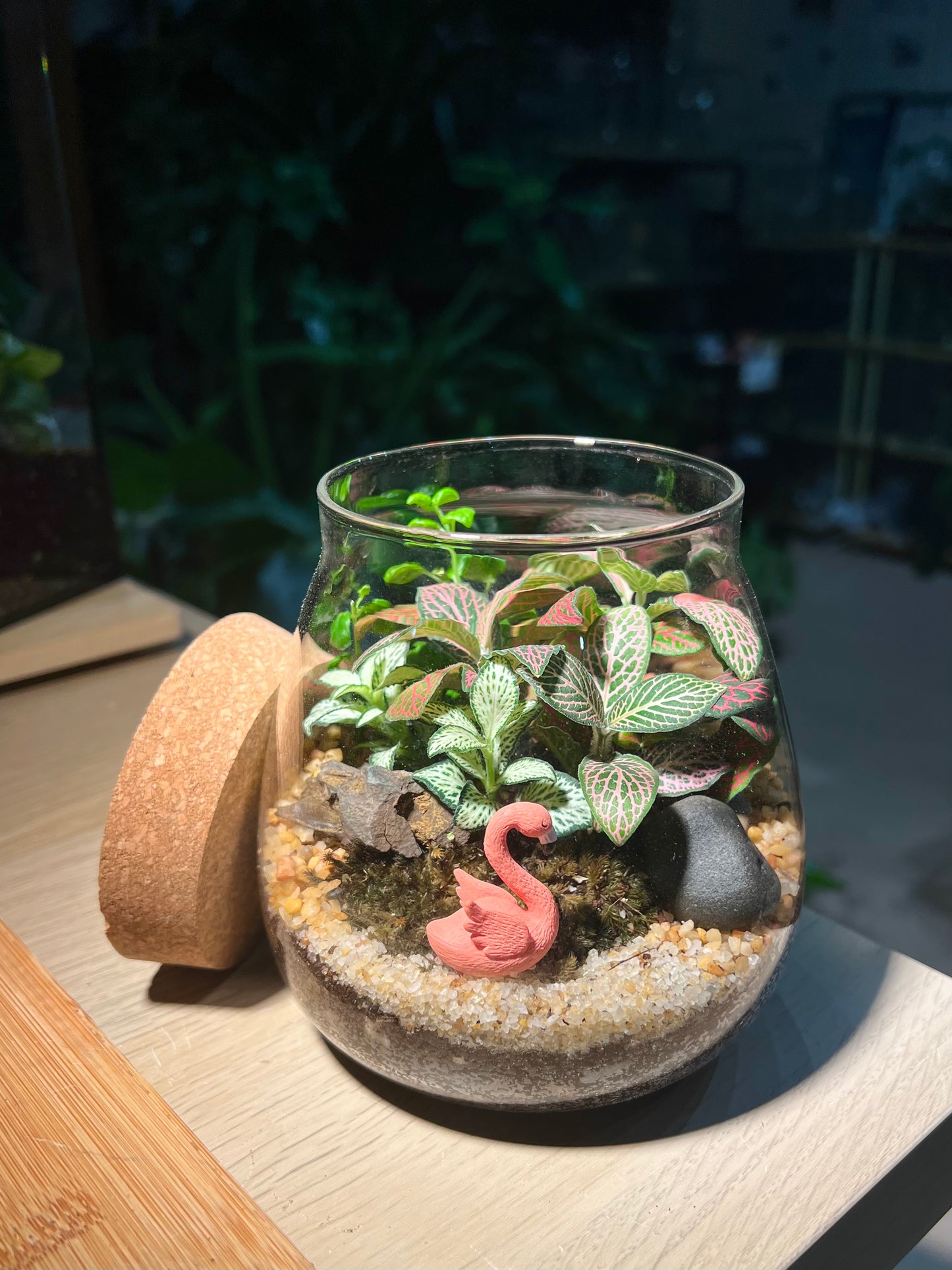 Fittonia with Moss (Indoor Plant) Arrangement in Water Drop Terrarium (S)
