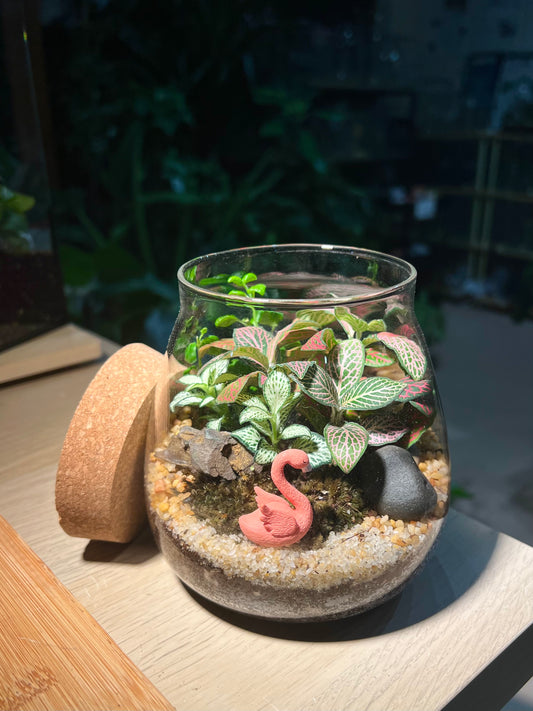 Fittonia with Moss Arrangement in Water Drop Terrarium (S)