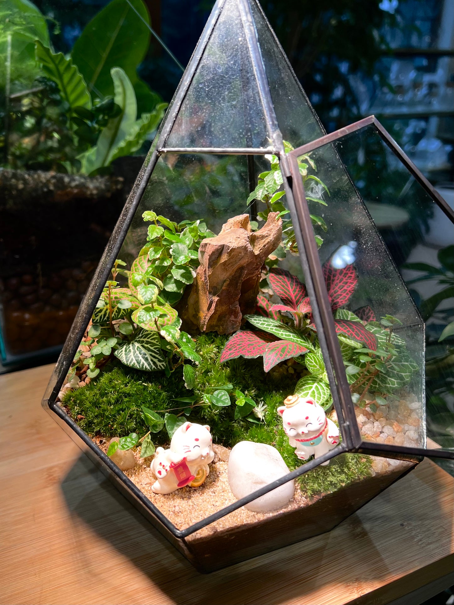 Fittonia & Fern with Moss Arrangement in Diamond Glass Terrarium (L)