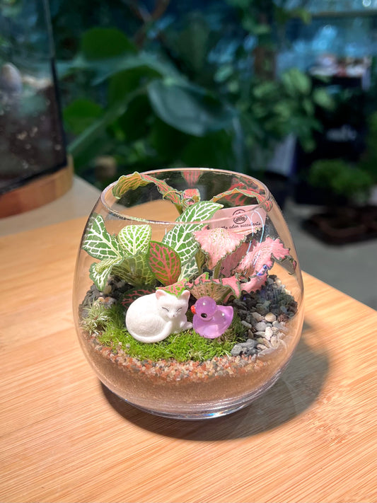 Fittonia and Moss Arrangement in Crystal Glass