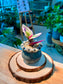 Tradescantia Spathacea Tricolor (Succulent) in Ceramic Pot