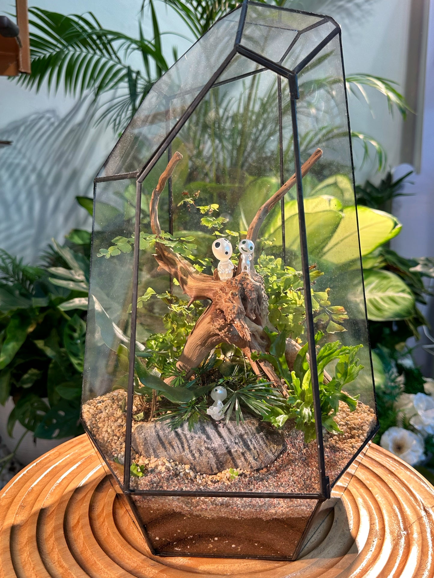 Ferns in Designer Glass Terrarium