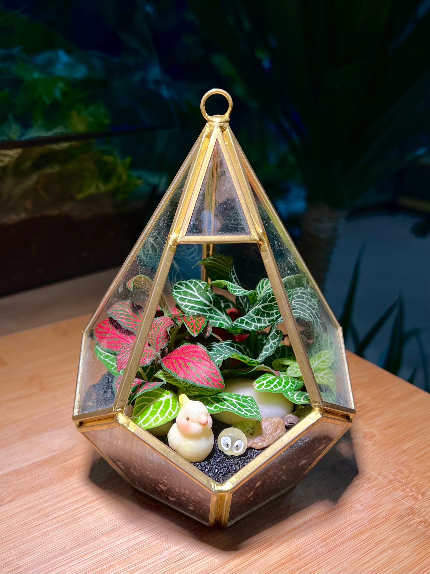 Fittonia Arrangement in Diamond Glass (S)