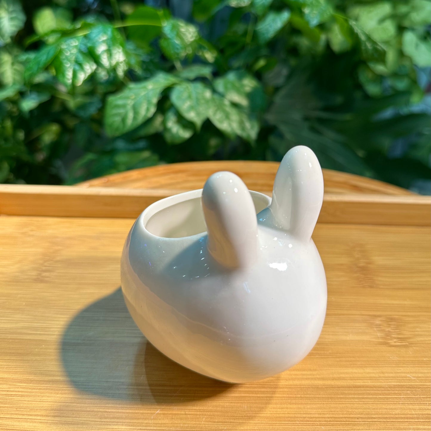 Designer Animal Pot