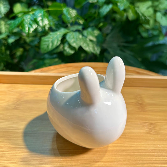 Designer Animal Pot