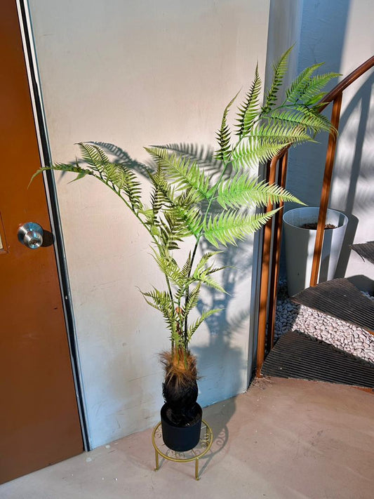 Artificial Fern Plant (蕨类植物) in Black Polymer Pot