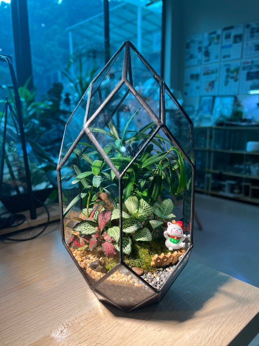 Indoor Plant Arrangement in Black Frame Polygonal Bullet Glass