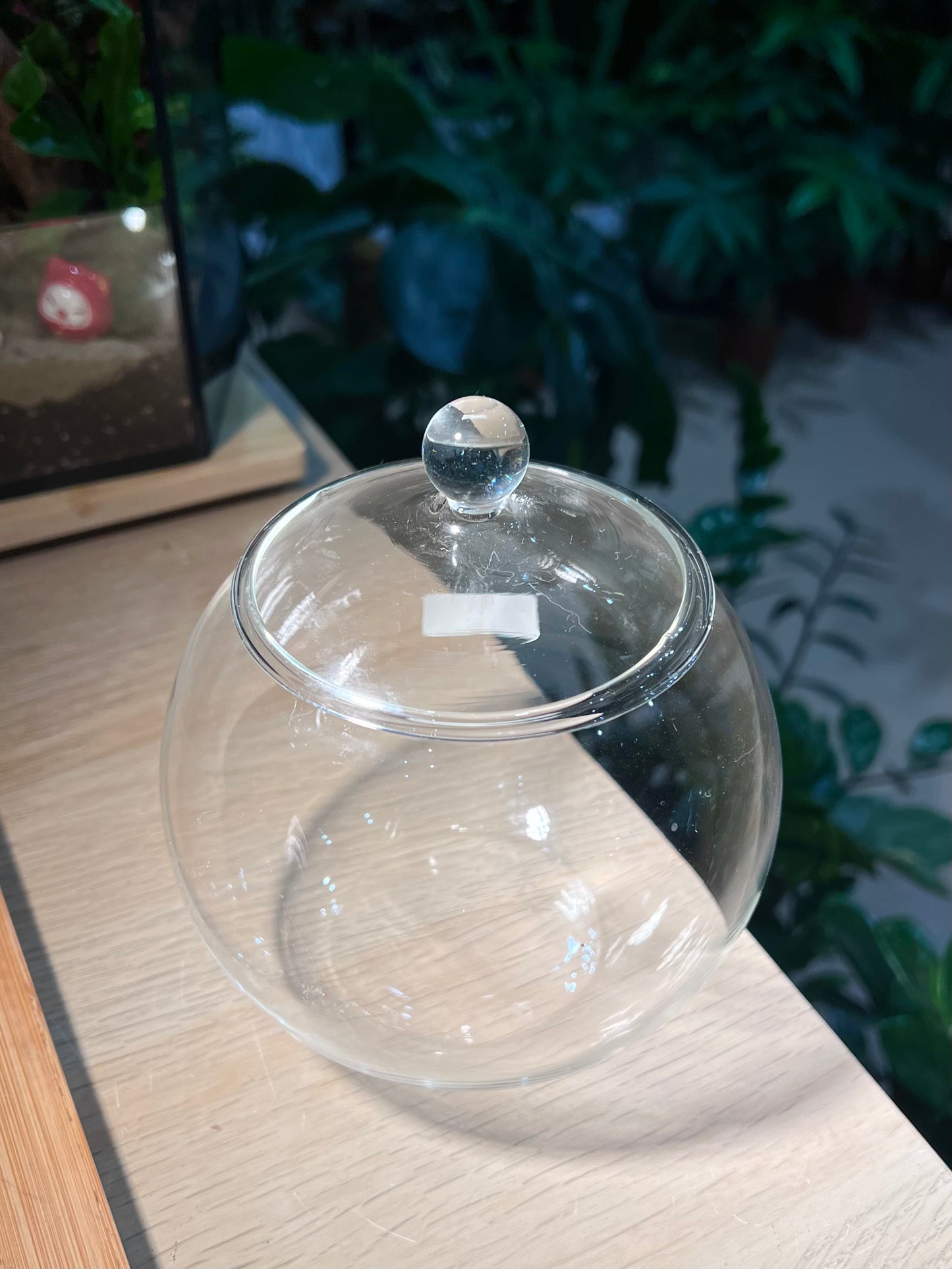 Fishbowl Glass with Lid (M)