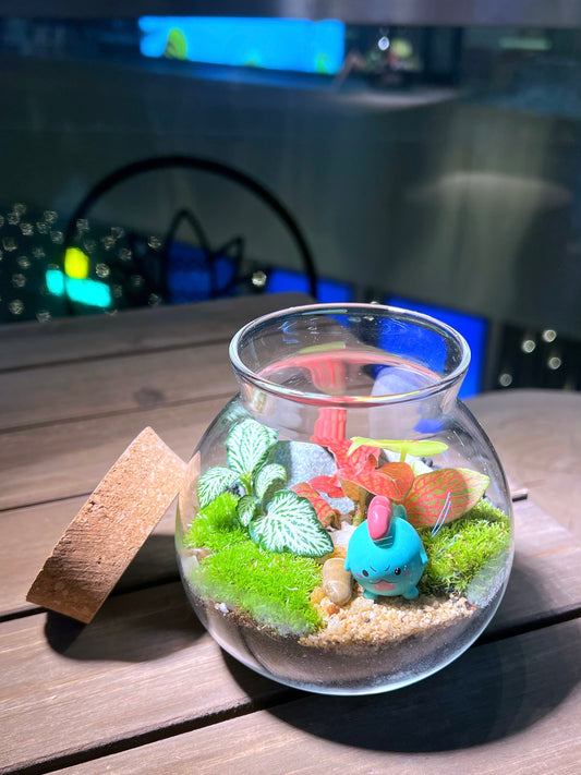 Fittonia with Moss Arrangement in Round Covered Glass (S) Terrarium