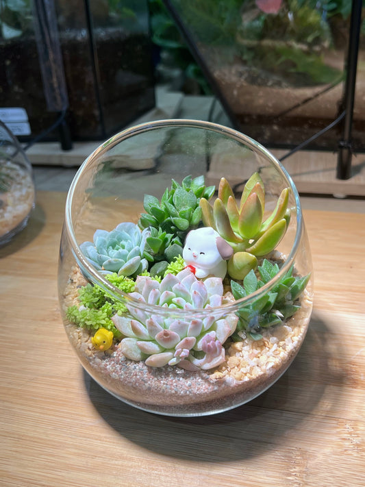 Succulent Arrangement in Slanted Glass Terrarium