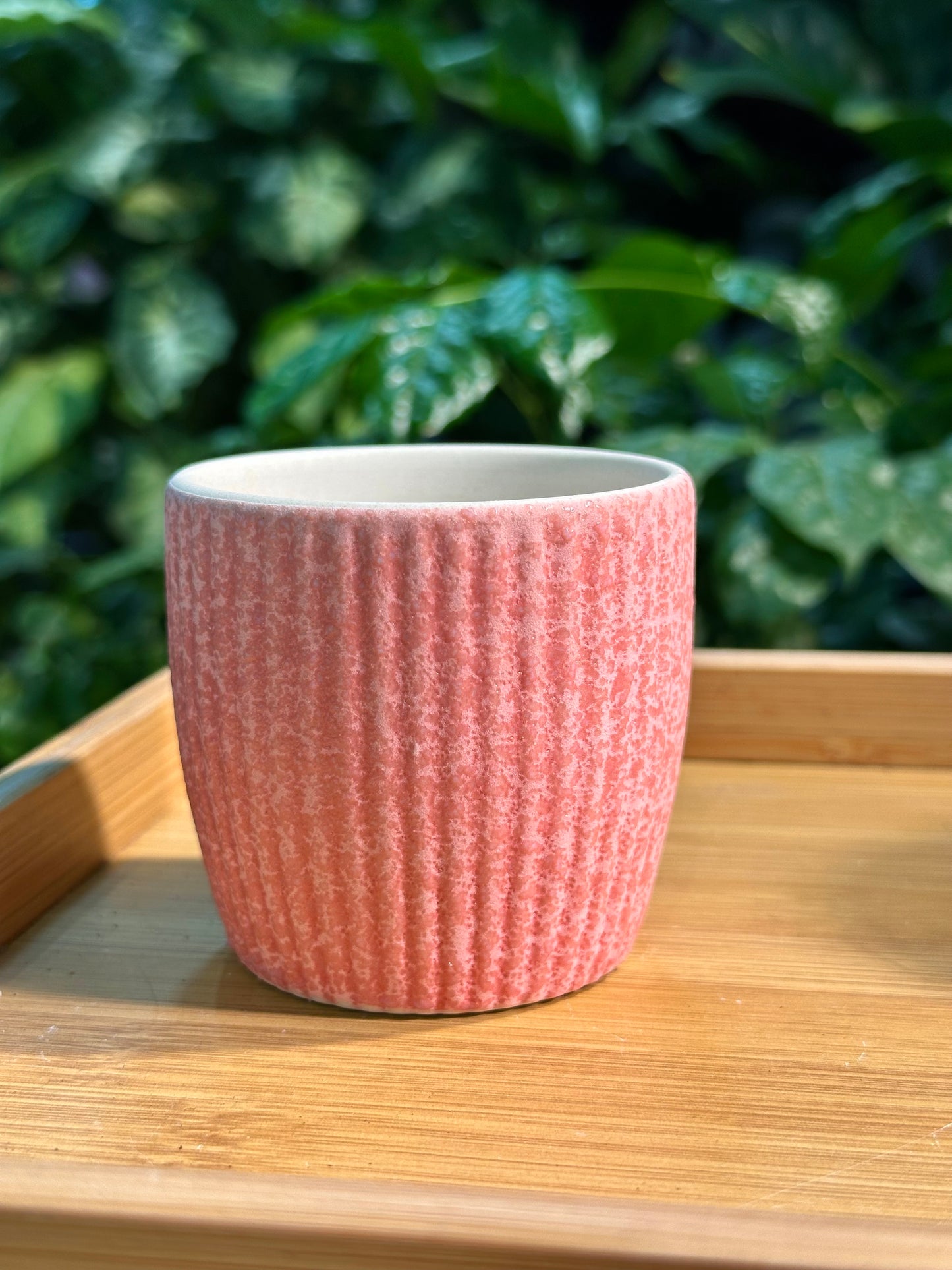 Matte Designer Pot