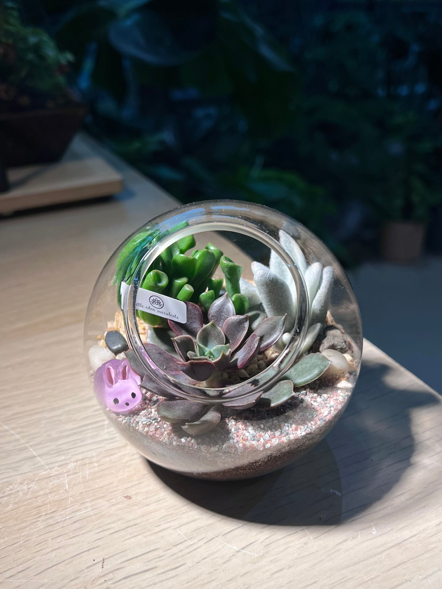 Succulent Terrarium in Round Glass (M)