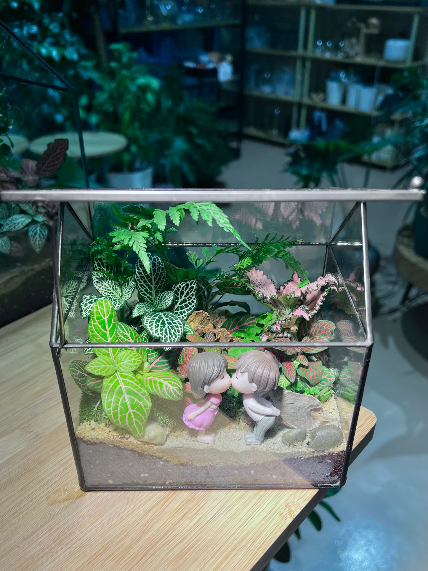 Valentine Gift - Fittonia and Fern with Moss Arrangement in Black Frame Glasshouse Terrarium (S)