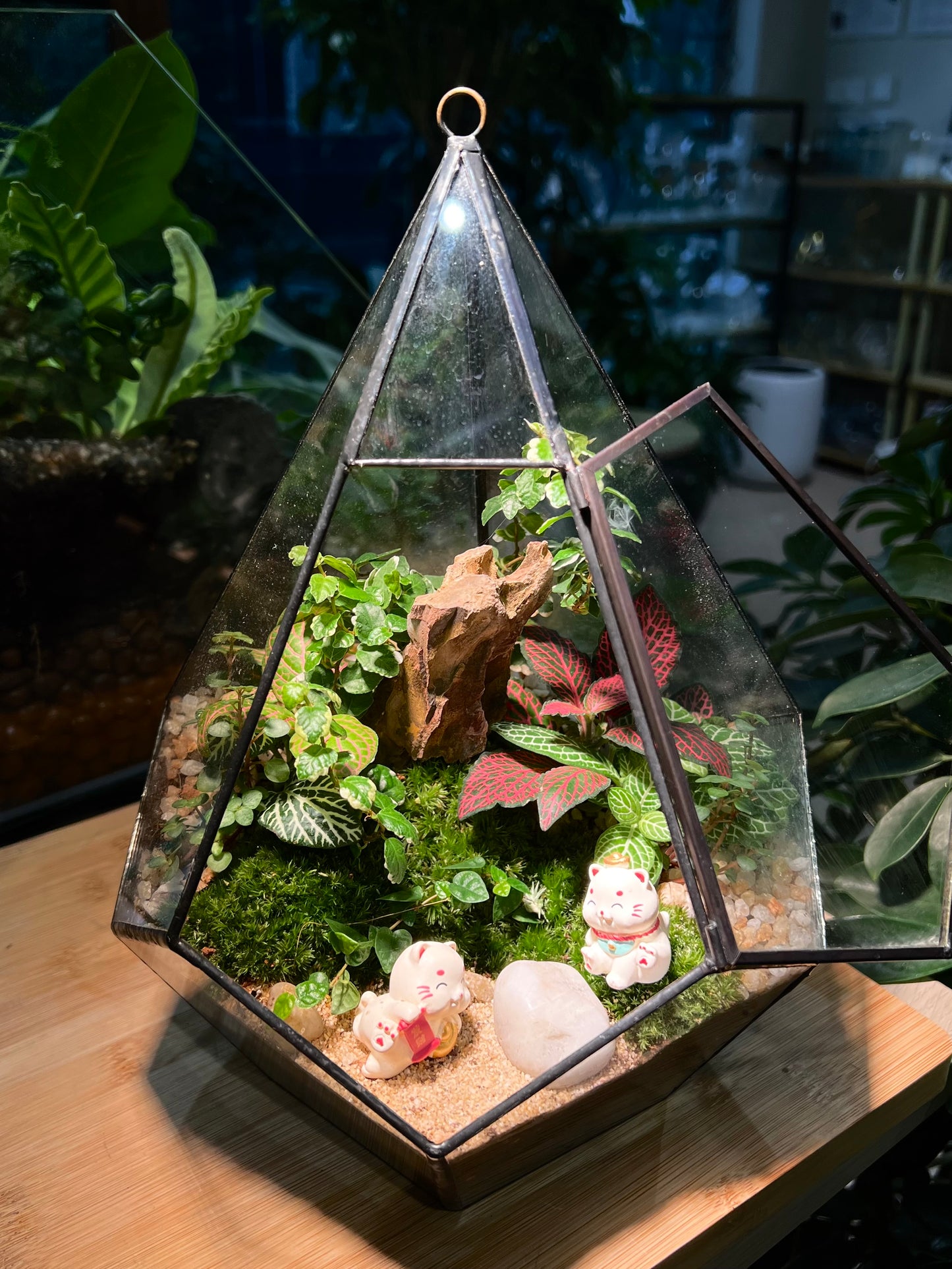 Fittonia & Fern with Moss Arrangement in Diamond Glass Terrarium (L)
