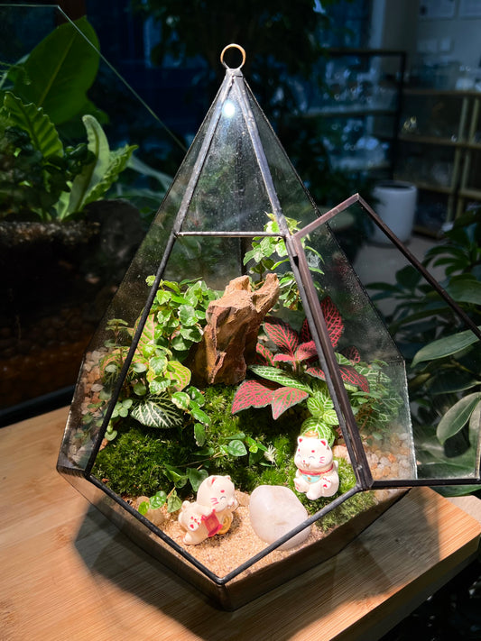 Fittonia & Fern with Moss Arrangement in Diamond Glass Terrarium (L)