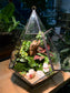 Fittonia & Fern with Moss Arrangement in Diamond Glass Terrarium (L)