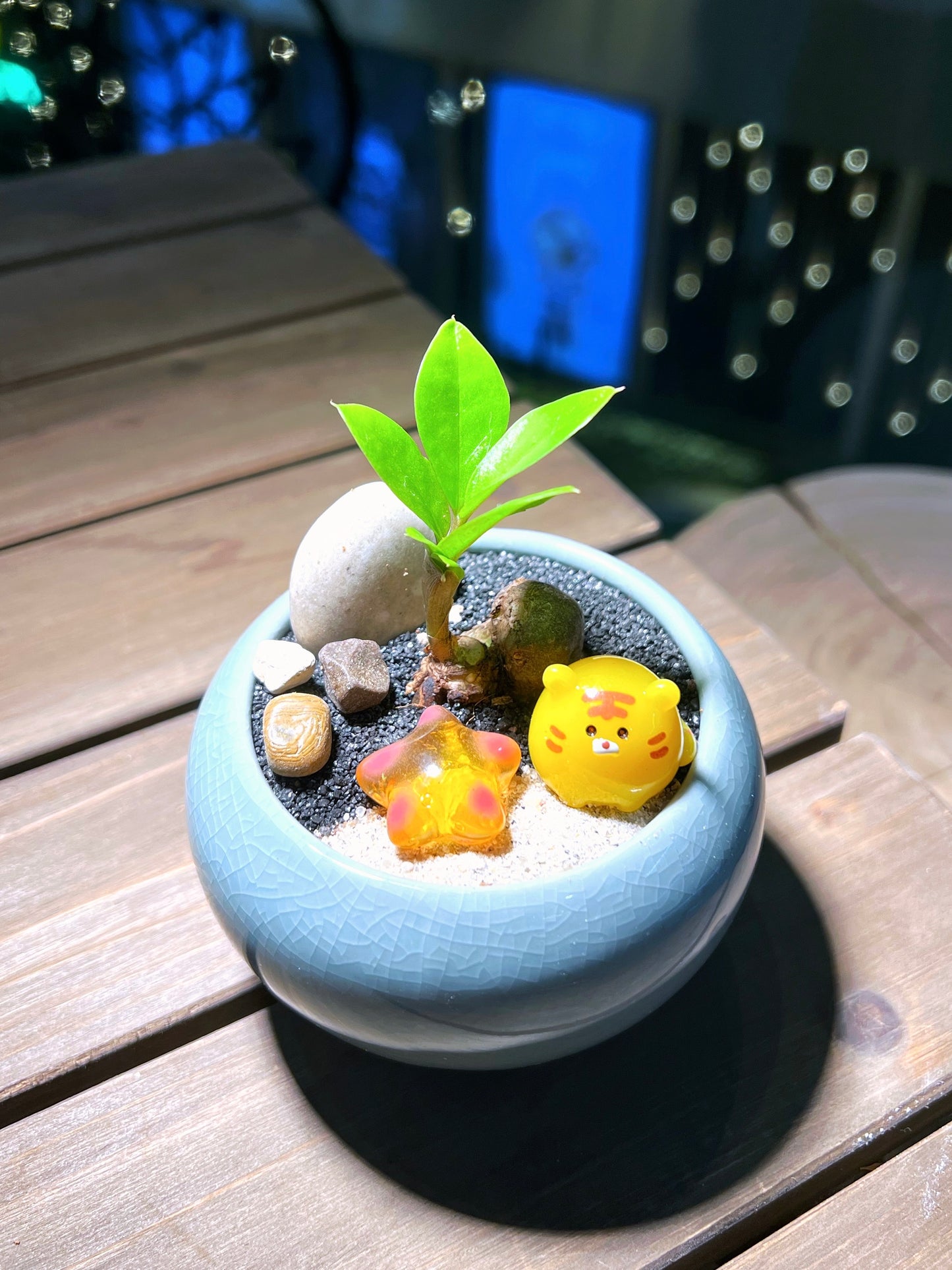 ZZ Plant in Sky Blue Round Ceramic Pot