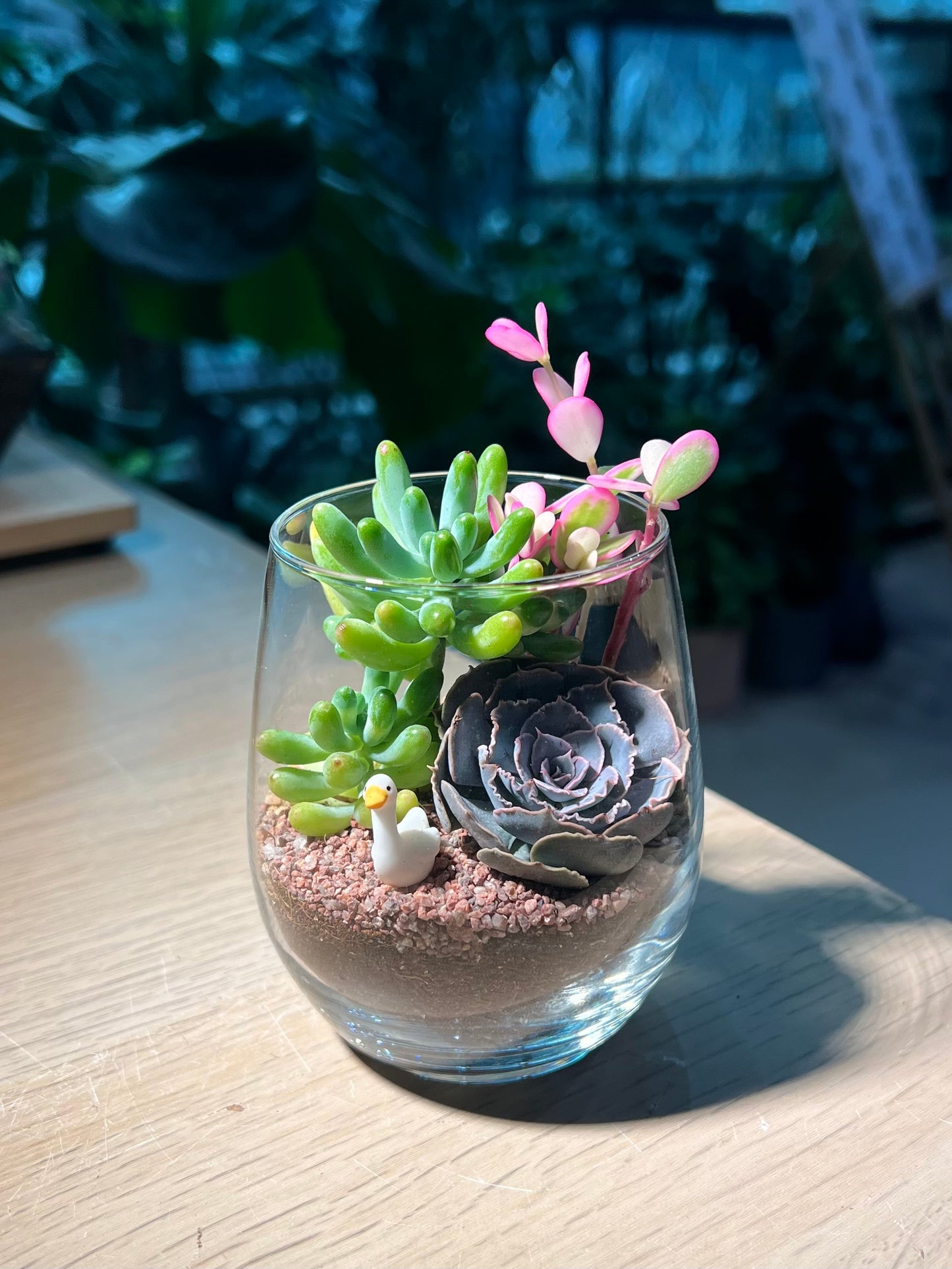 Succulent Terrarium in Tall Glass