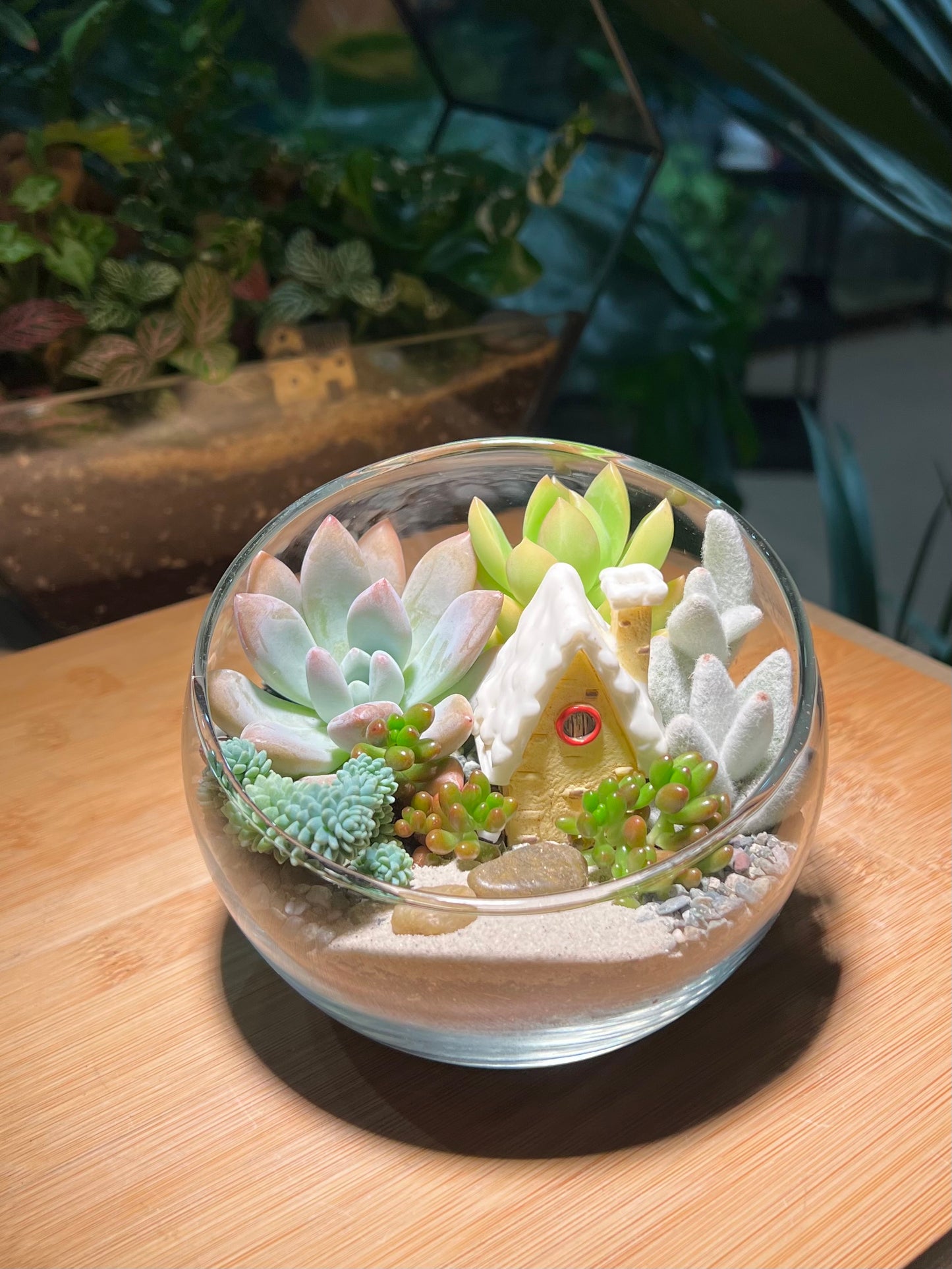 Christmas Theme - Succulent Arrangement in Slanted Glass