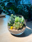 Succulent Terrarium in Crystal Glass