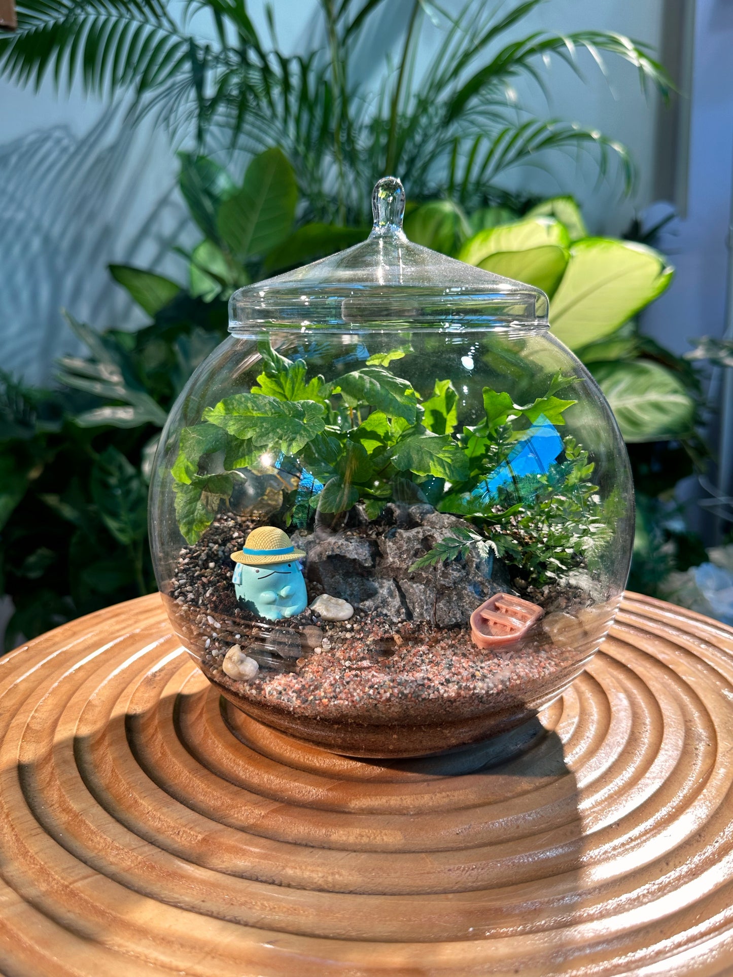 Ferns in Round Glass Terrarium