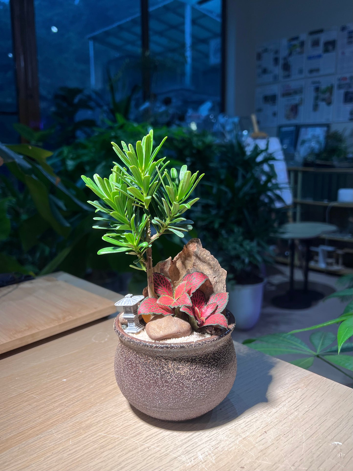 Indoor Plant Arrangement in Brownish Ceramic Pot