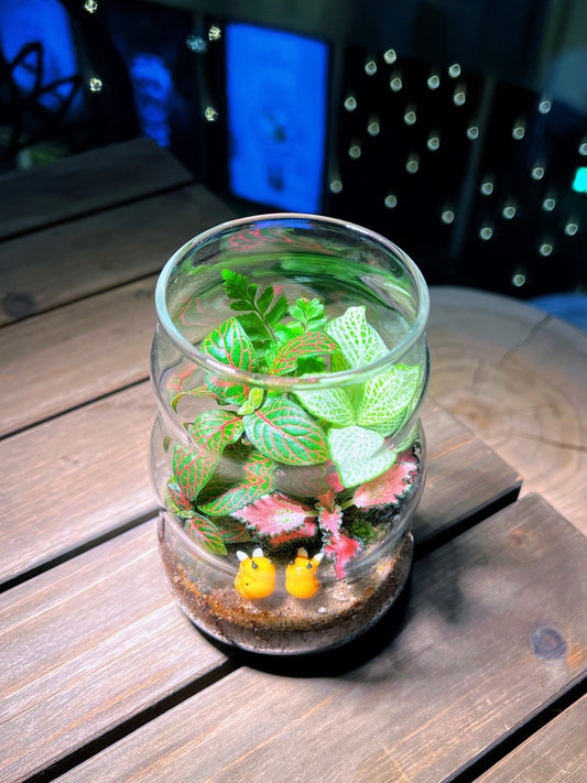 Fittonia & Fern with Moss Arrangement in Tall Wave Glass Terrarium